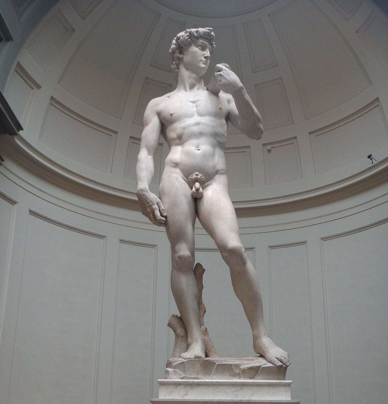 Статуя голого мужчины. Давид Микеланджело. Статуя Давида. Michelangelo's David. Давид Микеланджело скульптура фото.